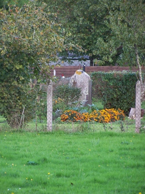 Menhir dit le Grave de Roland