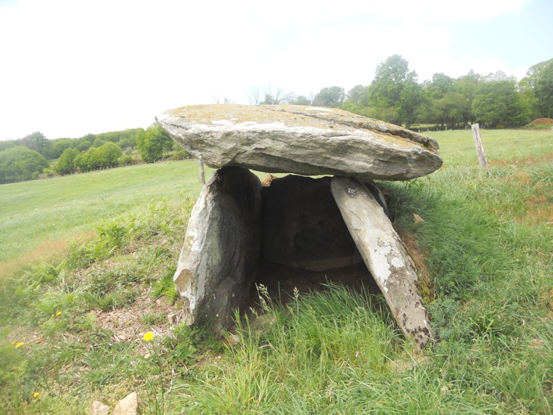 Click for the gallery page to add comments and vote (PID:76846) La Cabane de la Fée