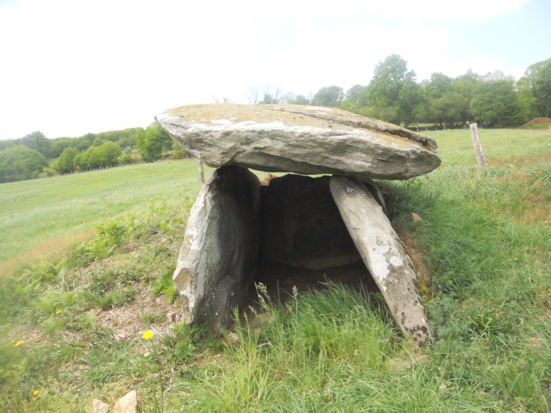 La Cabane de la Fée 