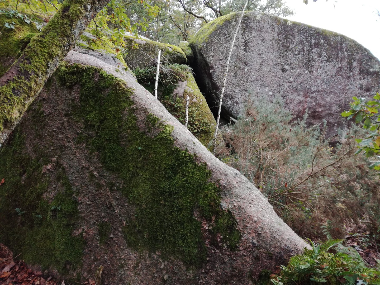 Grotte dite le Rocher des Fées (Cieux)