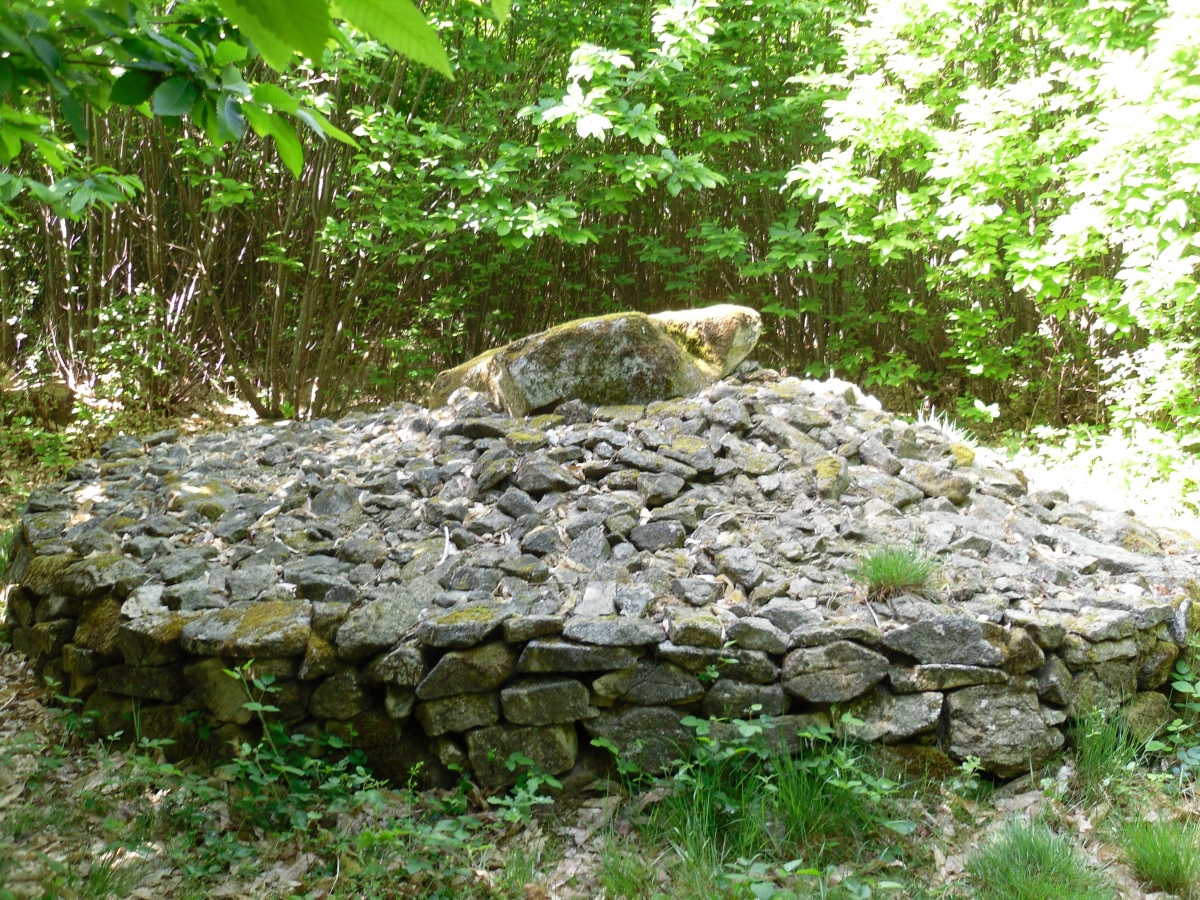 Click for the gallery page to add comments and vote (PID:242862) Dolmen de Bois Neuf 3