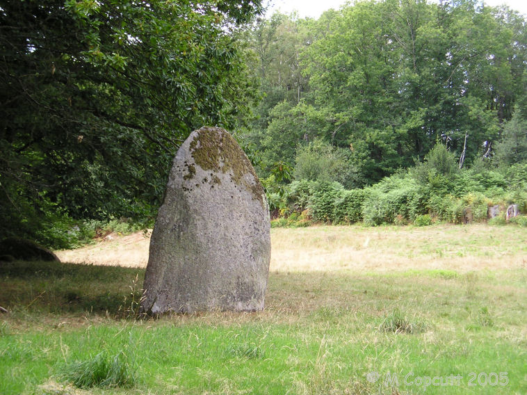 Menhir des Fichades