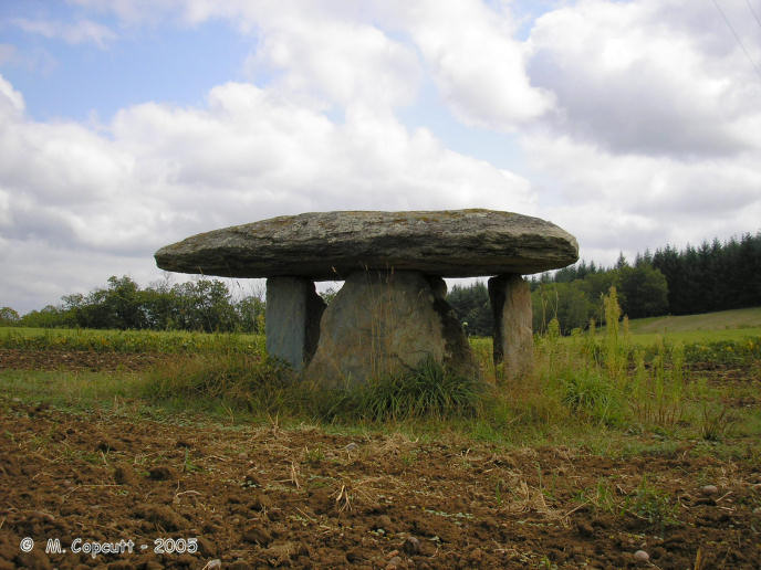 Click for the gallery page to add comments and vote (PID:19063) Estivaux dolmen