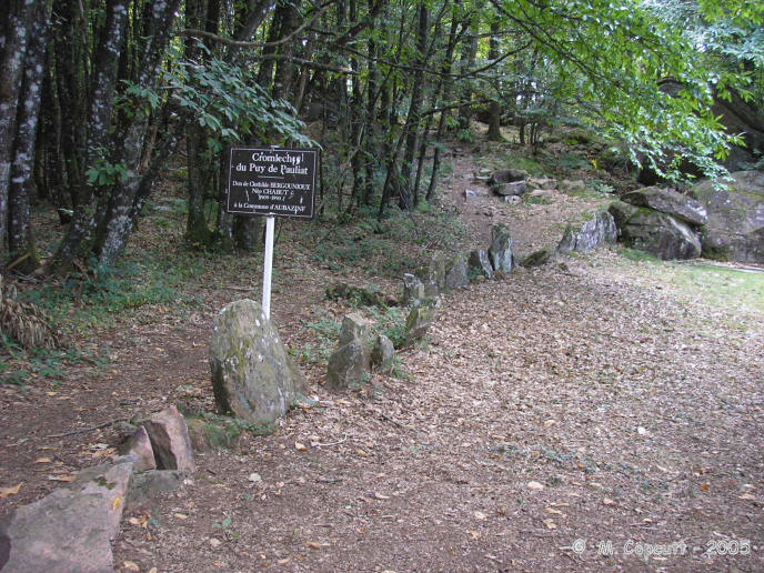 Near the top of the lovely Puy de Pauliac hill to the east of the historical village of Aubazines, is this cromlech, which manages to get a mention in Burl's books. 

The cromlech can be found a bit downhill to the north of the summit, and it is signposted, although the tiny little wooden sign is easily missed, hiding in the woodland. 

This is a view of the southern, upslope side.