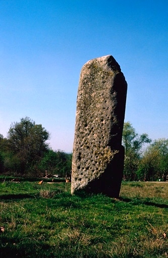 Pierre a Cupules (Arnac)