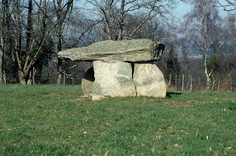 Click for the gallery page to add comments and vote (PID:47517) Bagnol Dolmen