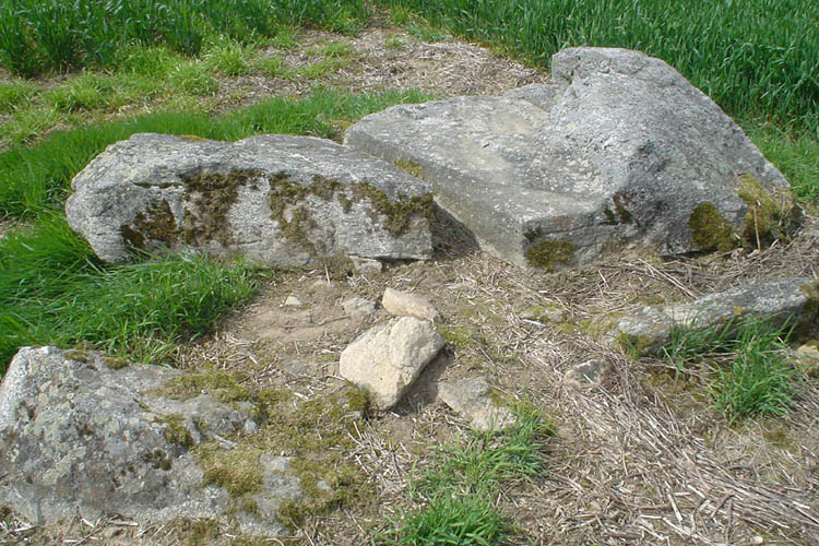 Betoulle dolmen 1