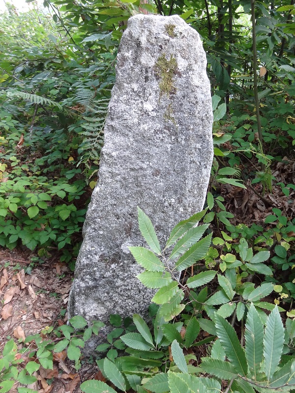 Click for the gallery page to add comments and vote (PID:178043) Menhir de La Grande-Borne