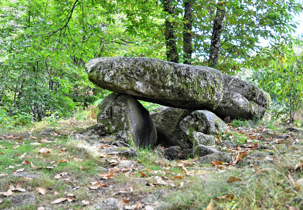 Click for the gallery page to add comments and vote (PID:140438) Dolmen de Puychaud