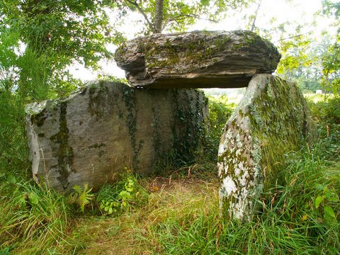 Dolmen de la Tamanie