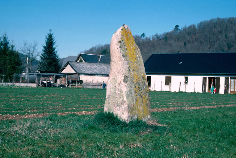 Menhir dit le Grave de Roland