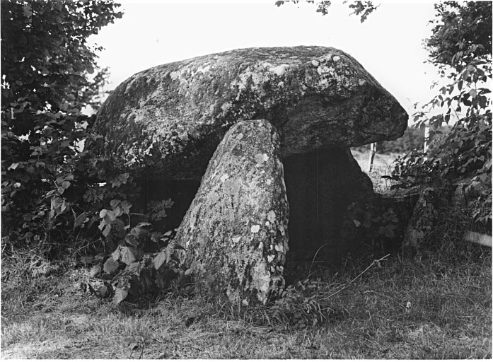 Dolmen de Peyro-Coupeliero