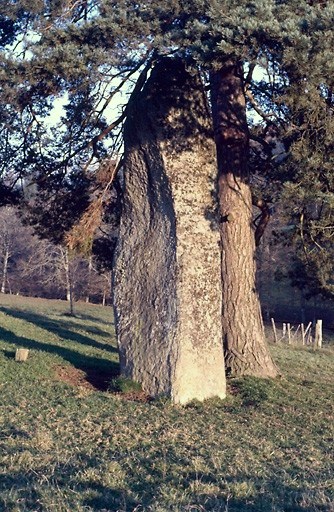 Click for the gallery page to add comments and vote (PID:47523) Métayer menhir 1