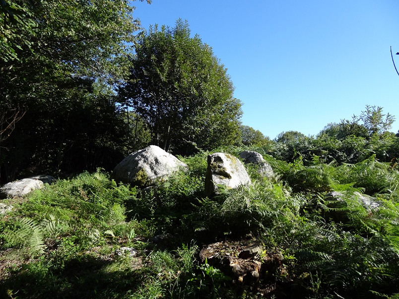 Click for the gallery page to add comments and vote (PID:177991) Dolmen de la Betoulle