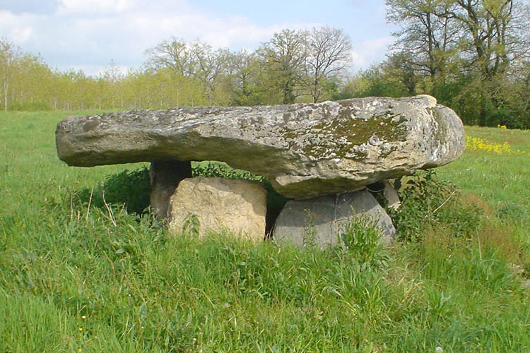 Click for the gallery page to add comments and vote (PID:20466) La Lue dolmen