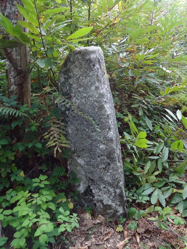 Click for the gallery page to add comments and vote (PID:178042) Menhir de La Grande-Borne
