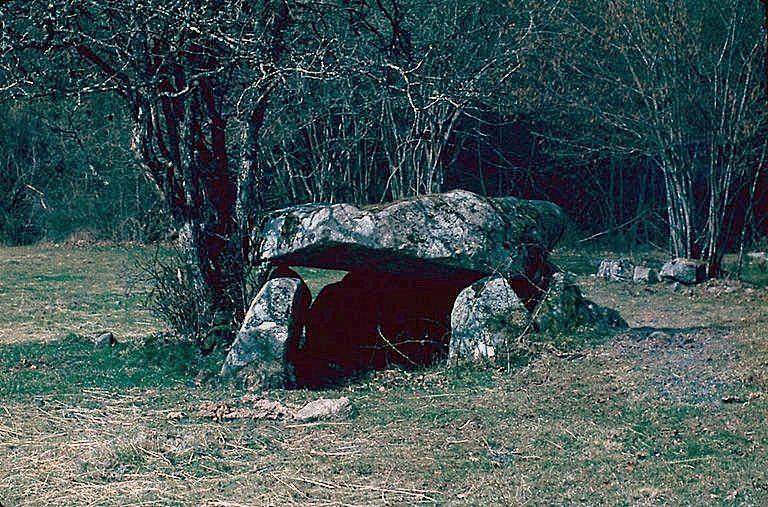 Dolmen dit Pierre-la-Fade