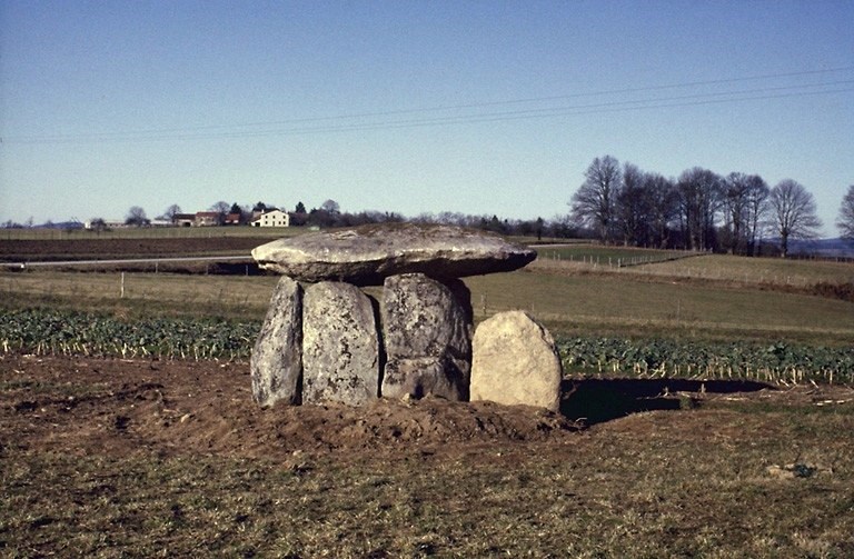 Click for the gallery page to add comments and vote (PID:47521) Dolmen du Pouyol