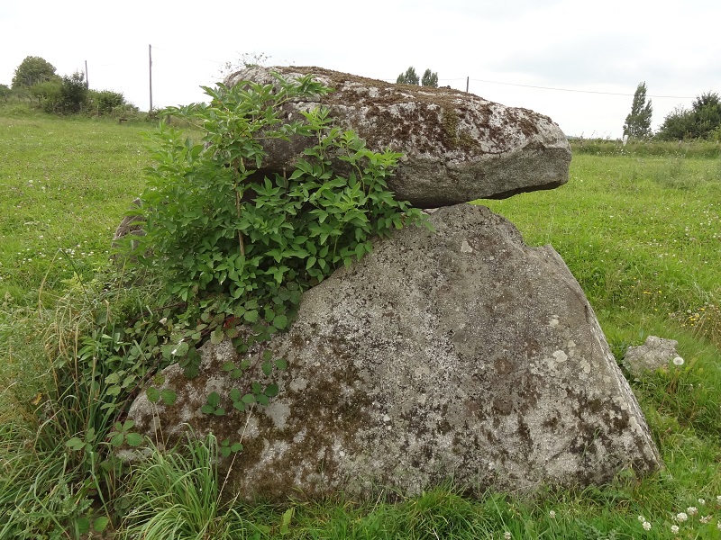 Dolmen dit l'Antre des Fades