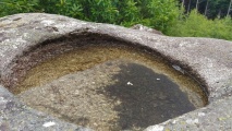 Pierre des Druides (Affieux) - PID:168180