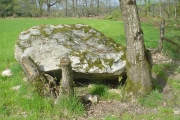 Dolmen dit de Taminage - PID:20454