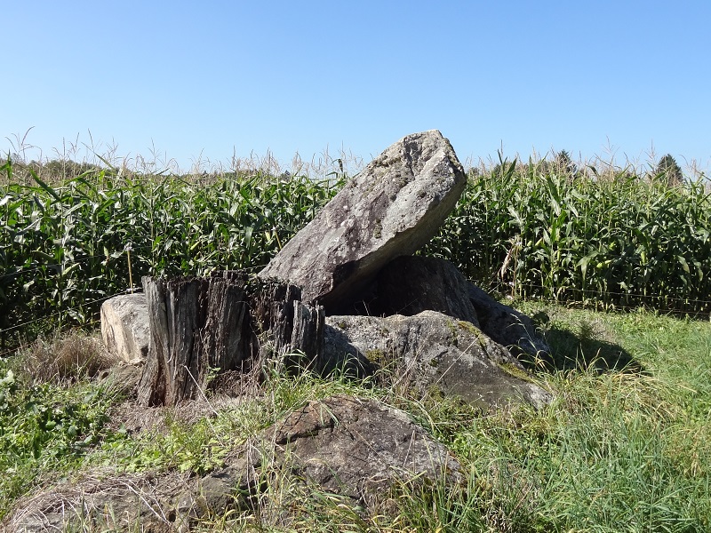 Dolmen du Reineix