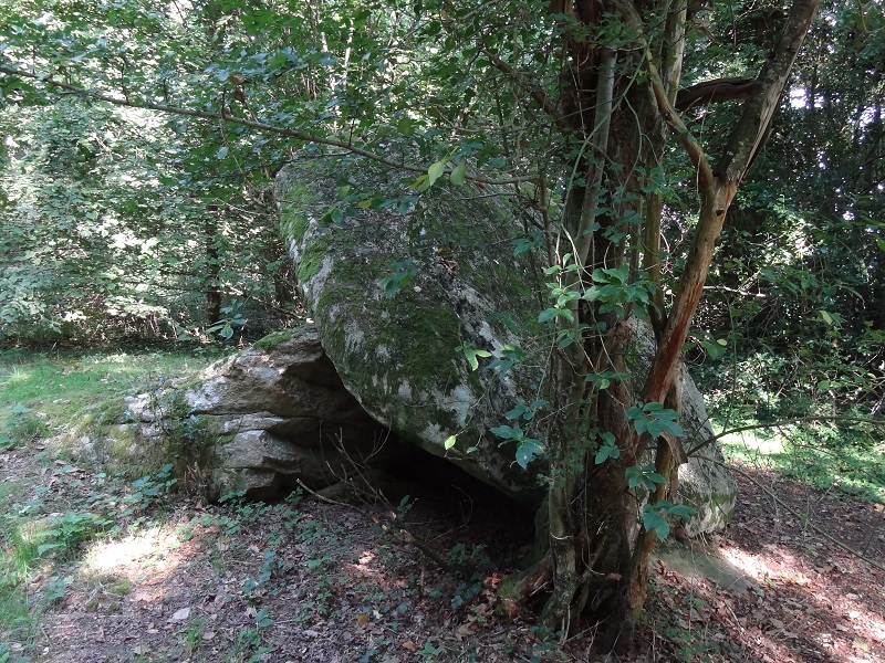 Click for the gallery page to add comments and vote (PID:178047) Dolmen de La Goupilière