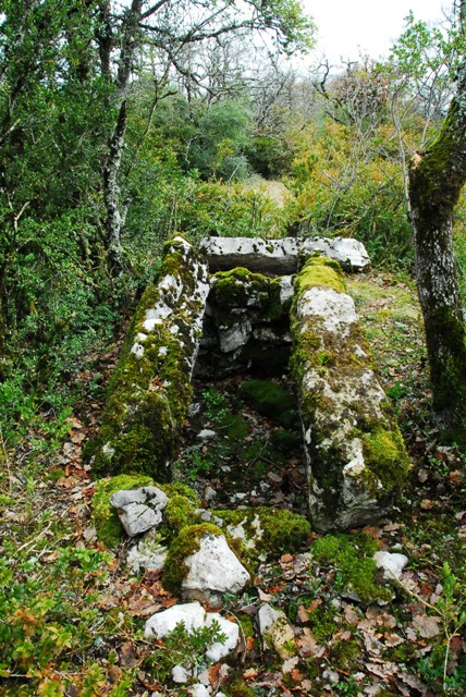 Dolmen de Suquets