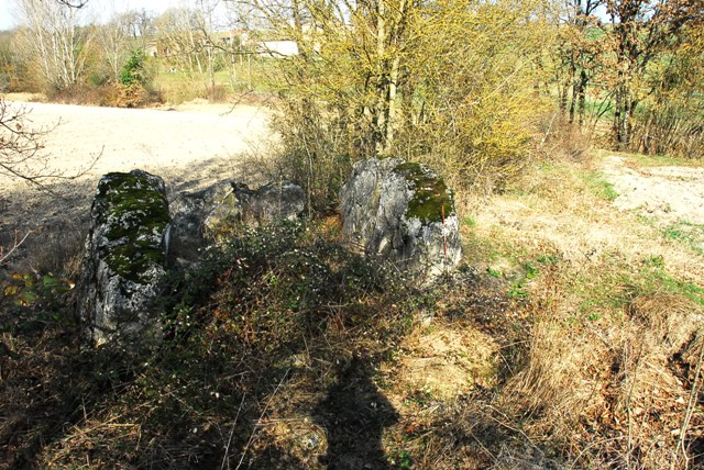 Dolmen d'Istricou