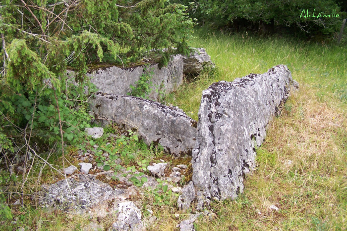 Dolmen des Calcas