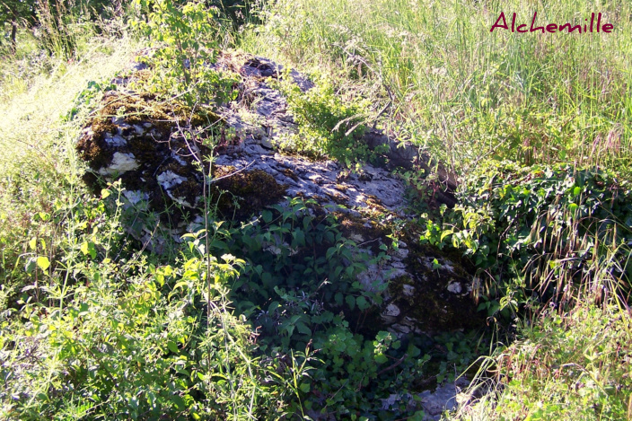 Dolmen du Pech Plumet 1
