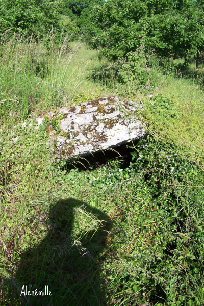 Dolmen du Pech Plumet 1