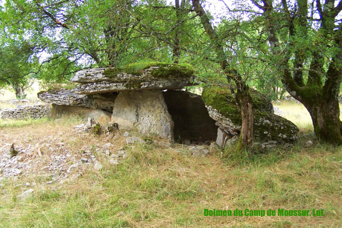 Dolmen du Champ de Monsieur