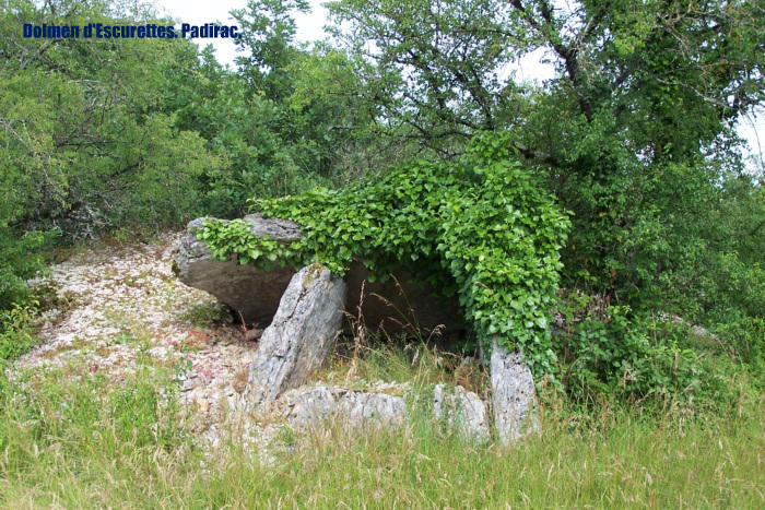 Dolmen d'Escurettes