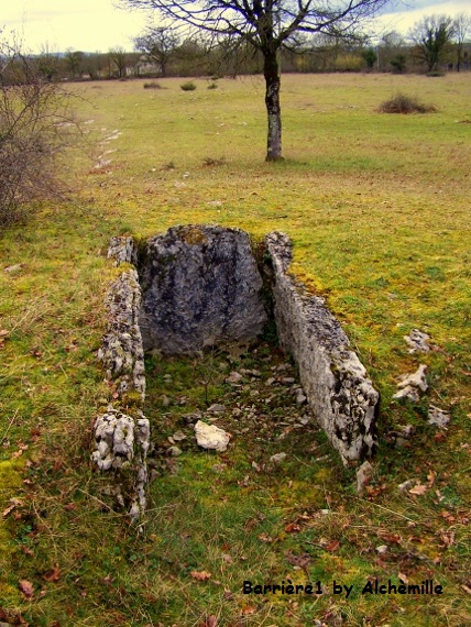 Dolmen de Barrières 1