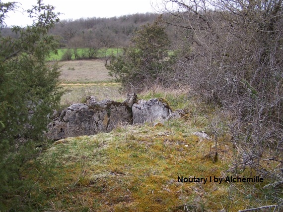 Dolmen du Noutary 1