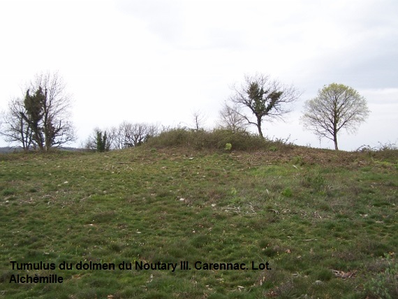 Dolmen du Noutary 2