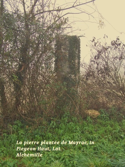 Click for the gallery page to add comments and vote (PID:129092) La Pierre Plantée (Le Pigeon Haut)