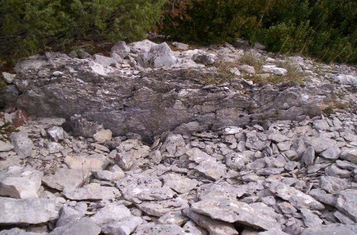 Dolmen de Viste 1