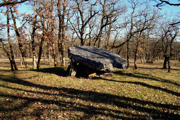 Dolmen dit Peyrebru (Miers)