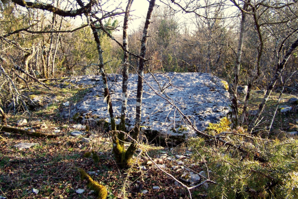 Dolmen du Pech Cayrou