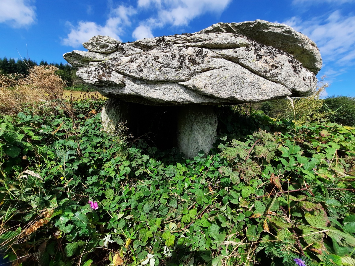 Click for the gallery page to add comments and vote (PID:235621) Dolmen de Jonquayrolles