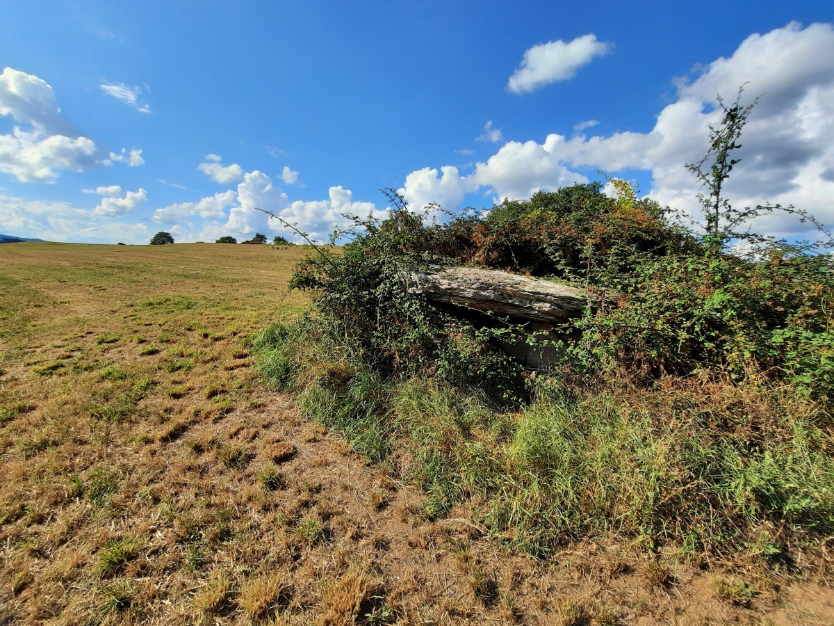 Dolmen de Cazarède