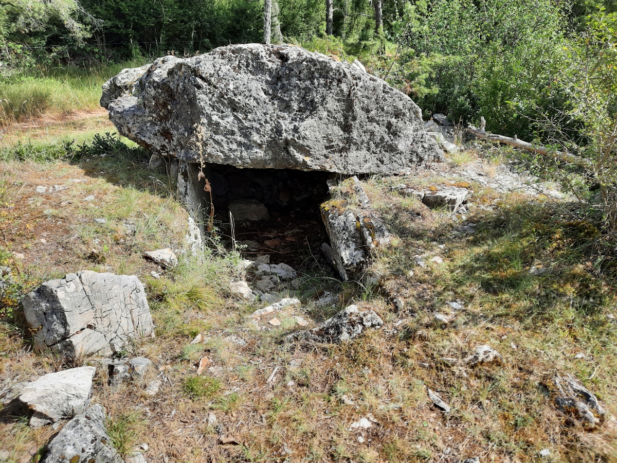 Dolmen de Sonnac