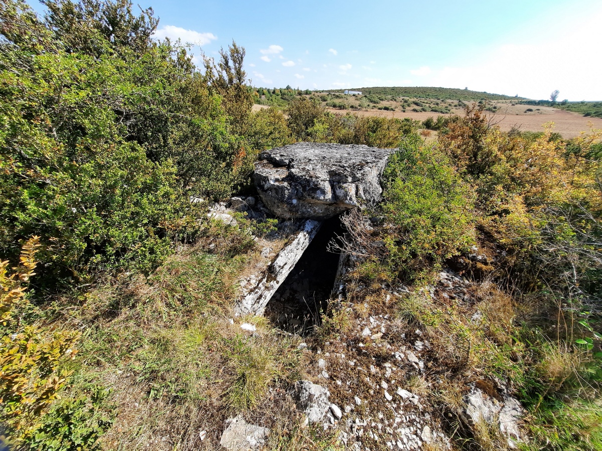 Dolmen du Puech del Pous 2