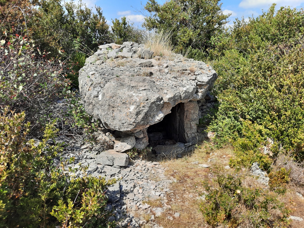 Dolmen du Puech del Pous 1