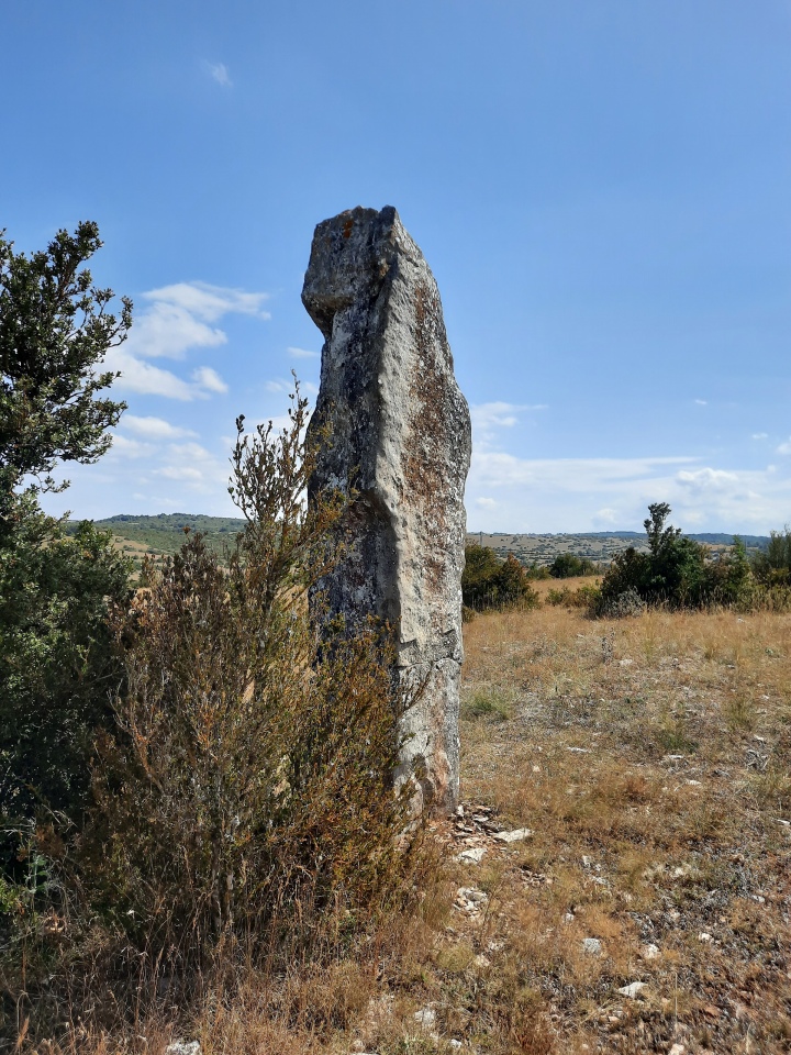 Click for the gallery page to add comments and vote (PID:235831) Menhir de la Côte de Labro