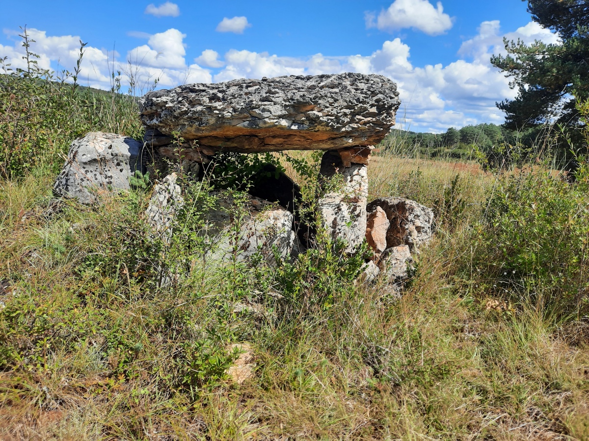 Dolmen du Sot (Aveyron)