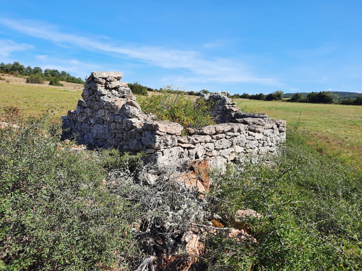 Dolmen de la Plaine