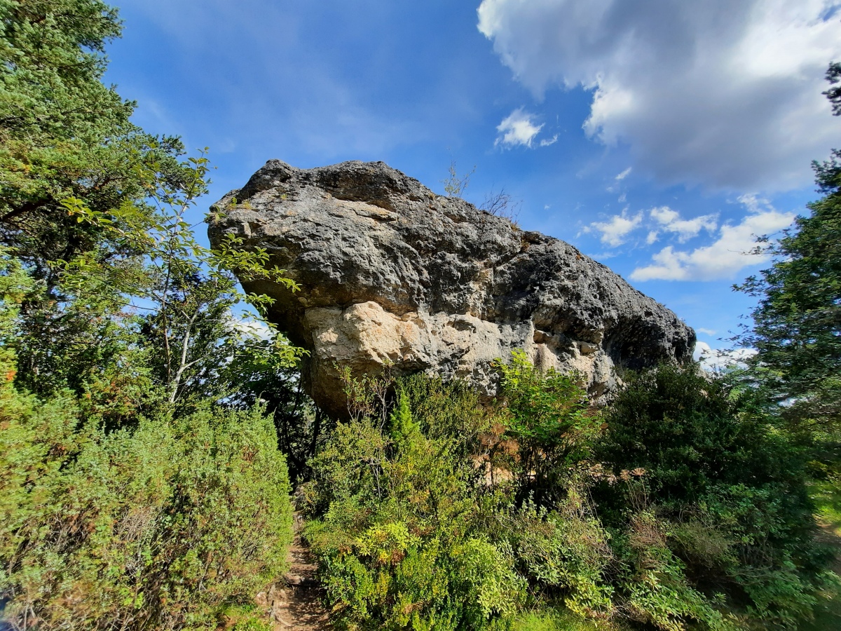 Le Champignon (Peyreleau)